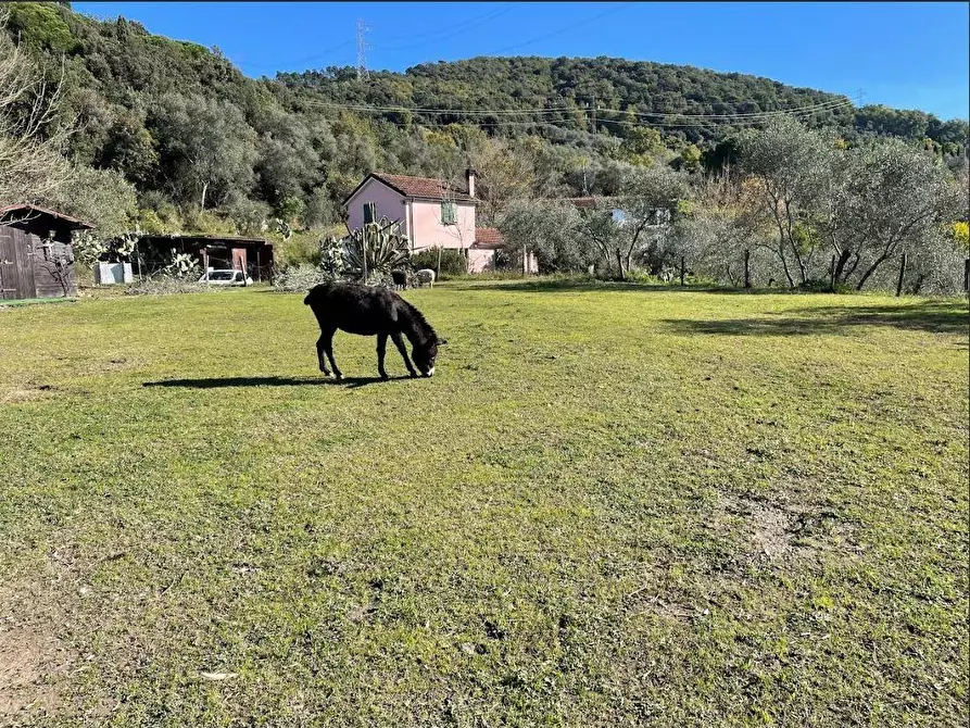 Immagine 33 di Casa colonica in vendita  a Sarzana