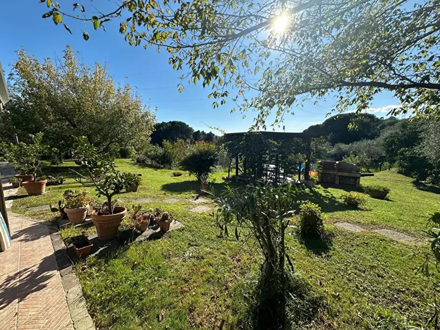 Immagine 22 di Casa colonica in vendita  a Sarzana