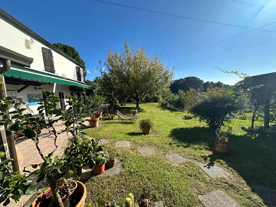 Immagine 2 di Casa colonica in vendita  a Sarzana