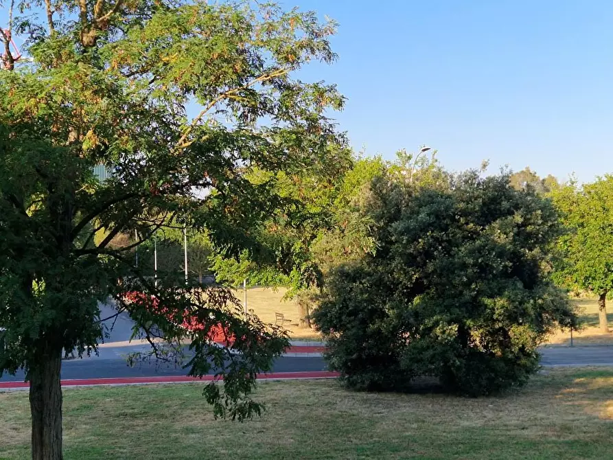 Immagine 9 di Appartamento in affitto  a Pisa