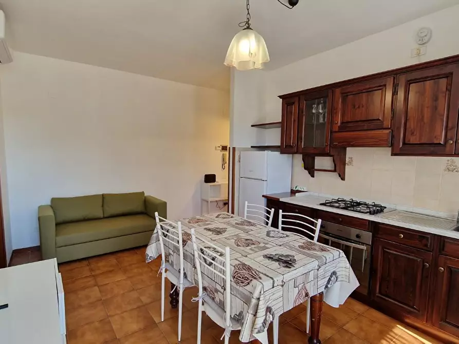 Immagine 19 di Appartamento in affitto  a Pisa