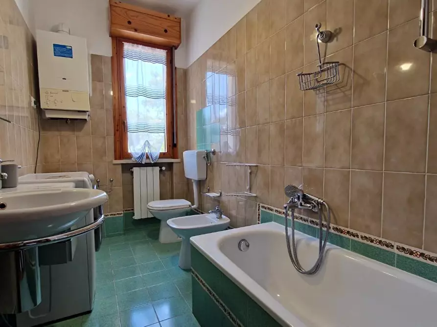 Immagine 44 di Appartamento in affitto  a Pisa