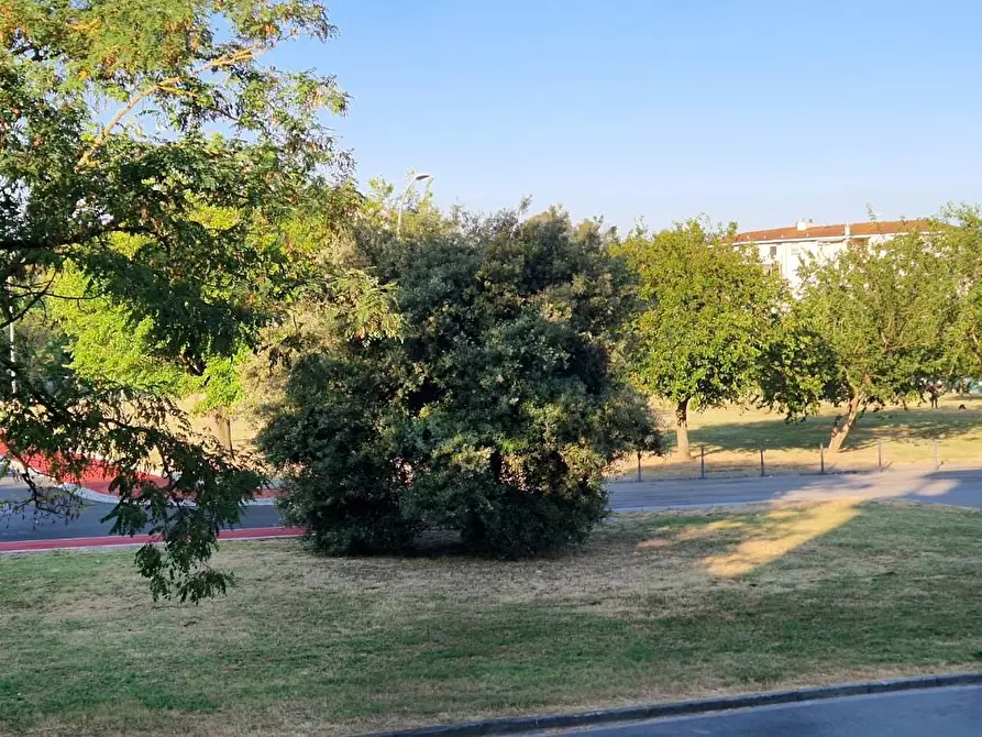 Immagine 4 di Appartamento in affitto  a Pisa