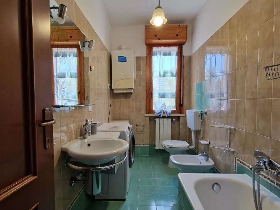 Immagine 46 di Appartamento in affitto  a Pisa