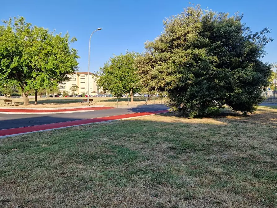 Immagine 21 di Appartamento in affitto  a Pisa