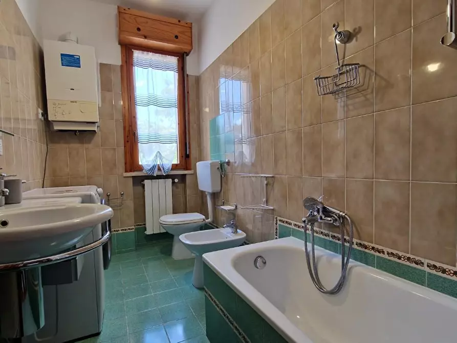 Immagine 47 di Appartamento in affitto  a Pisa