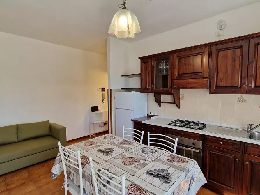 Immagine 17 di Appartamento in affitto  a Pisa