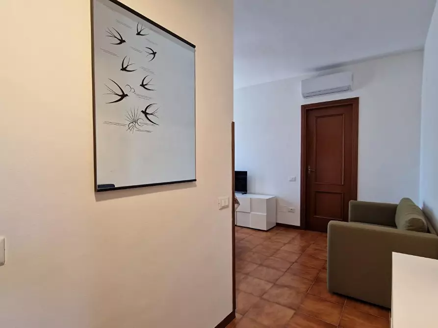 Immagine 28 di Appartamento in affitto  a Pisa