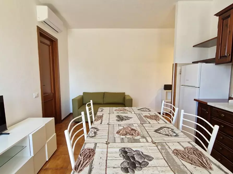 Immagine 16 di Appartamento in affitto  a Pisa