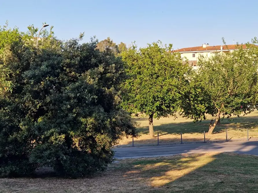 Immagine 24 di Appartamento in affitto  a Pisa