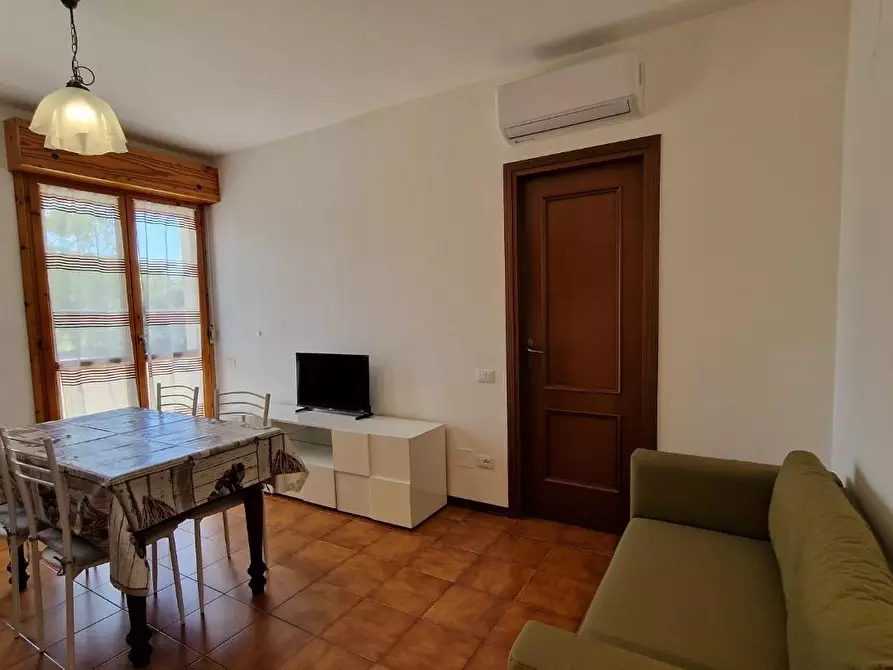 Immagine 14 di Appartamento in affitto  a Pisa