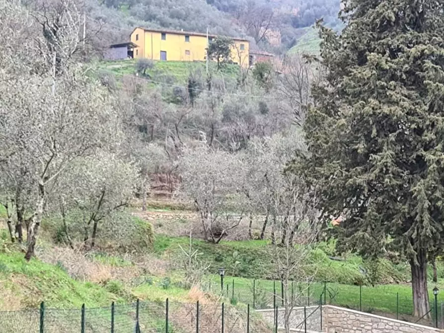 Immagine 1 di Casa colonica in vendita  a Pescia