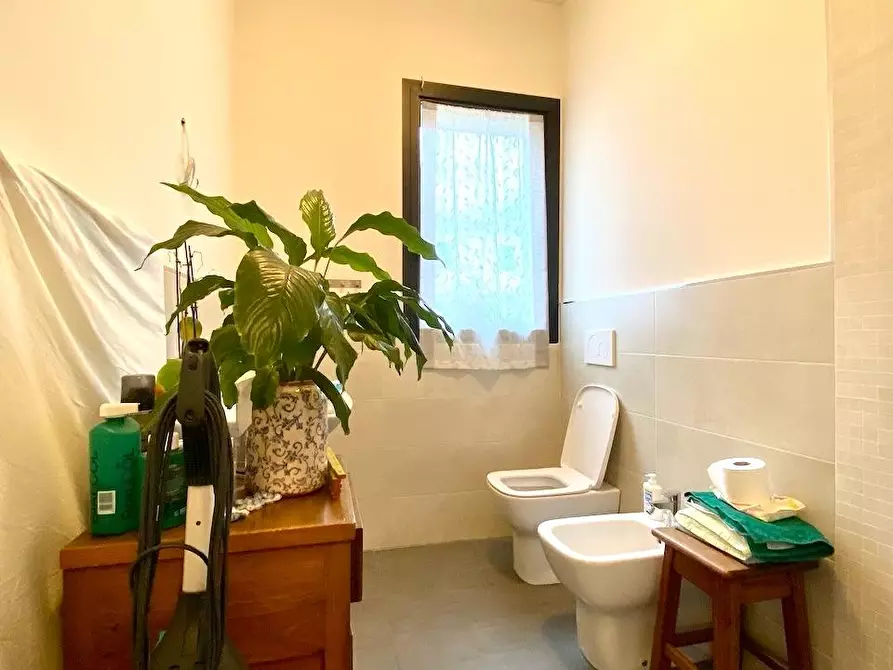 Immagine 11 di Villetta a schiera in vendita  a Massa