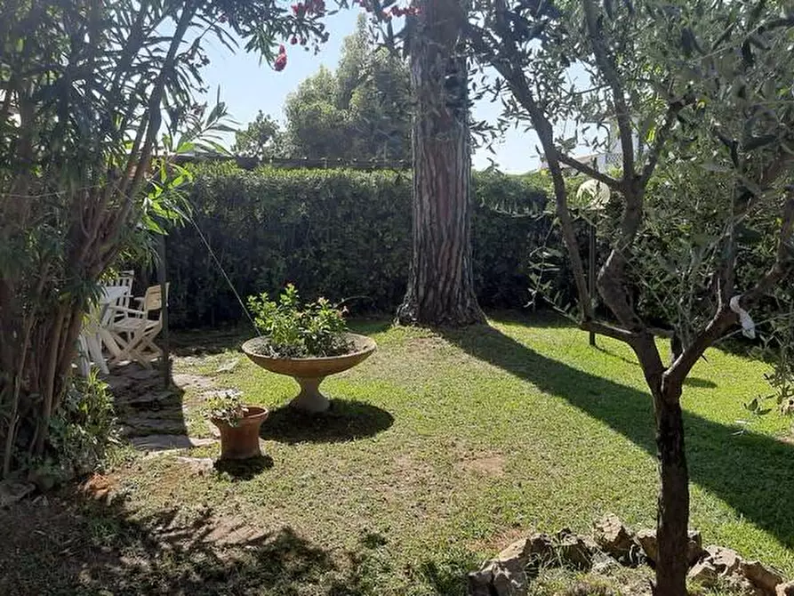 Immagine 13 di Loft/Open space in affitto  a Camaiore