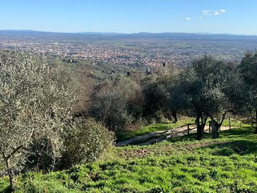 Immagine 7 di Casa colonica in vendita  a Massa E Cozzile