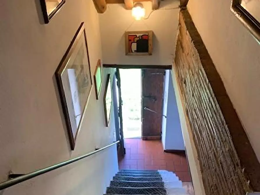Immagine 35 di Casa colonica in vendita  a Massa E Cozzile