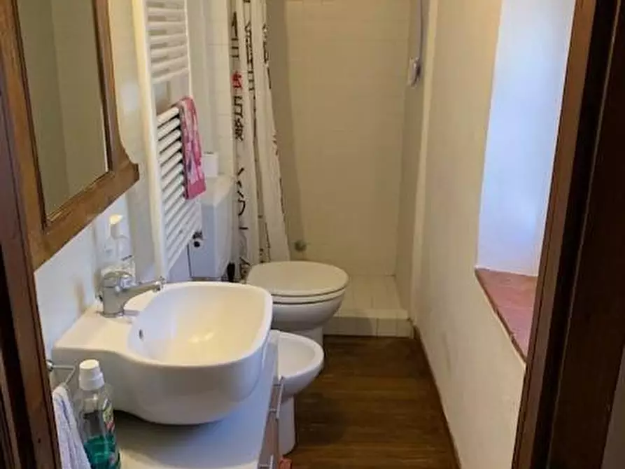 Immagine 34 di Casa colonica in vendita  a Massa E Cozzile