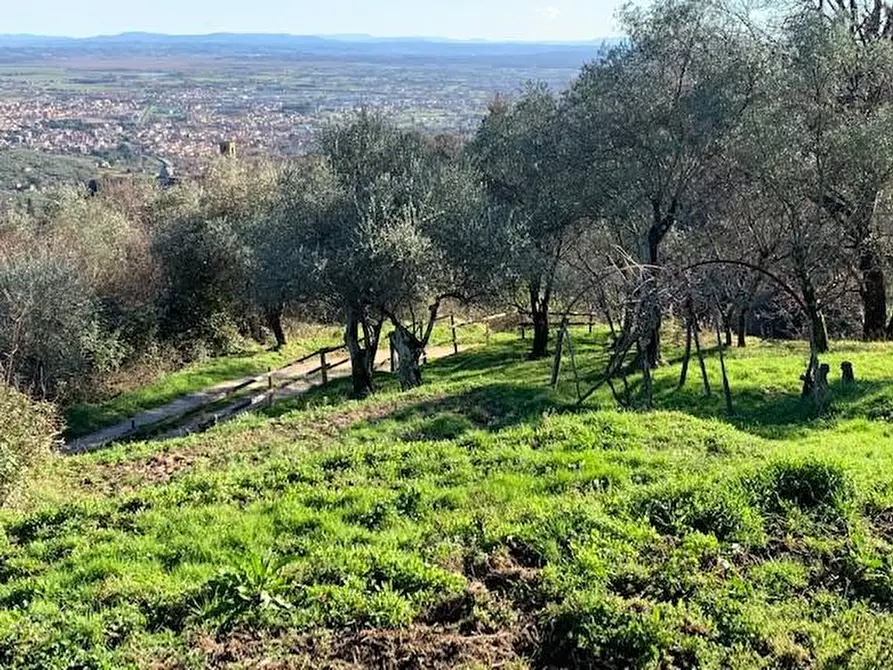 Immagine 6 di Casa colonica in vendita  a Massa E Cozzile