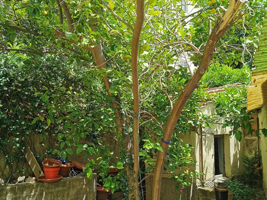 Immagine 4 di Casa bifamiliare in vendita  a Grosseto