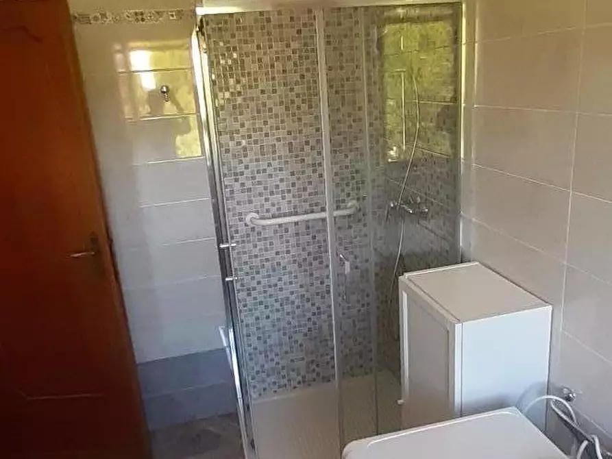 Immagine 21 di Appartamento in affitto  a Pisa