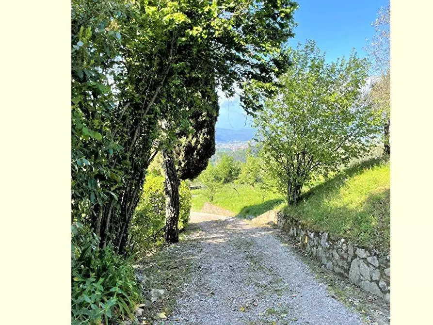 Immagine 5 di Villa in vendita  a Fosdinovo