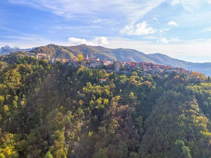 Immagine 32 di Villa in vendita  a Fosdinovo