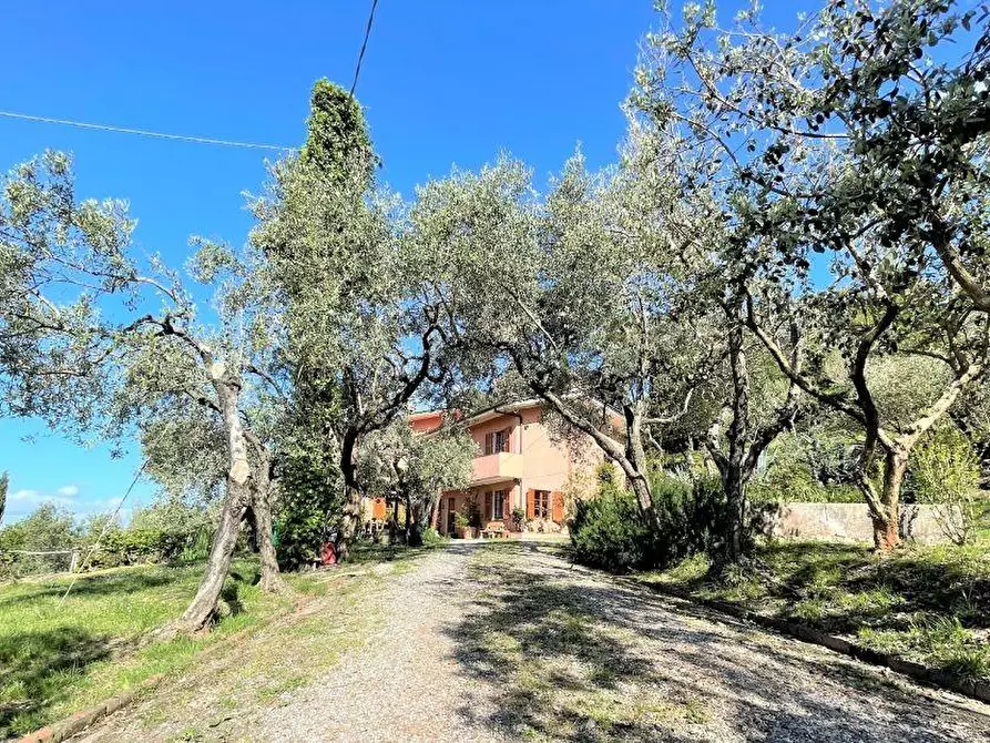 Immagine 40 di Villa in vendita  a Fosdinovo