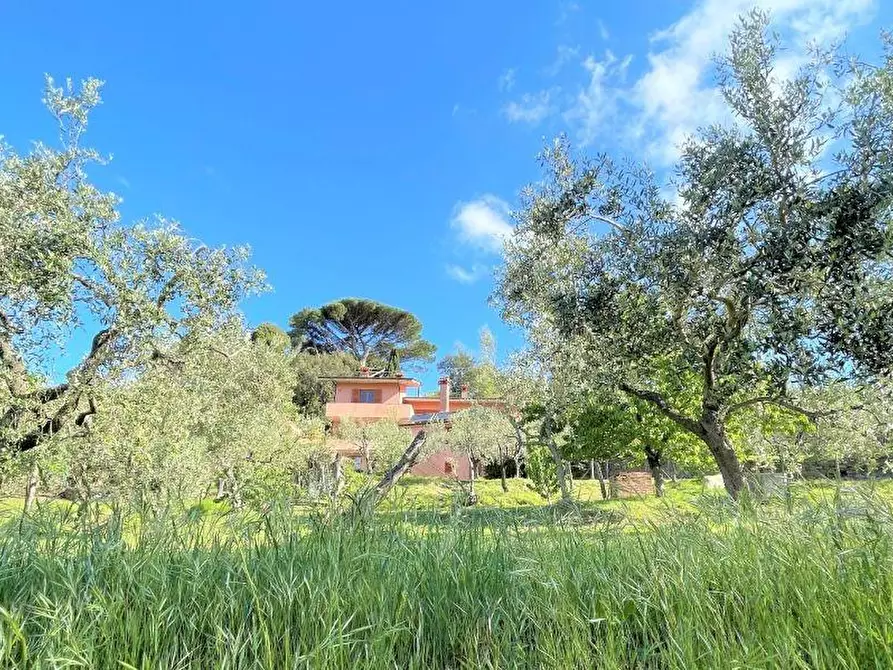 Immagine 42 di Villa in vendita  a Fosdinovo