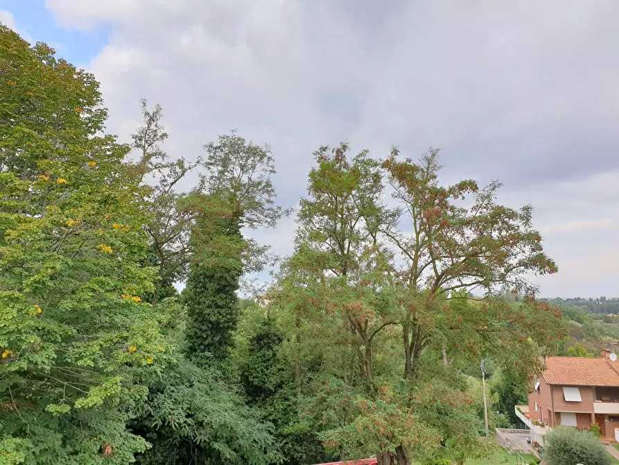 Immagine 28 di Villa in vendita  a Crespina Lorenzana