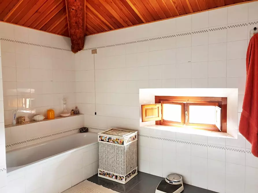 Immagine 42 di Villa in vendita  a Crespina Lorenzana