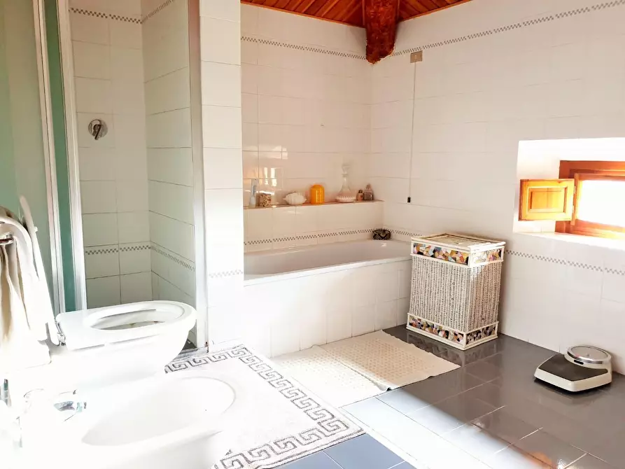 Immagine 40 di Villa in vendita  a Crespina Lorenzana