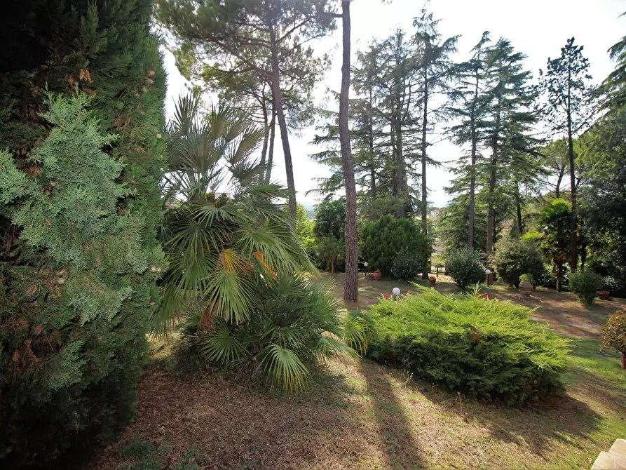 Immagine 3 di Porzione di casa in vendita  a Siena