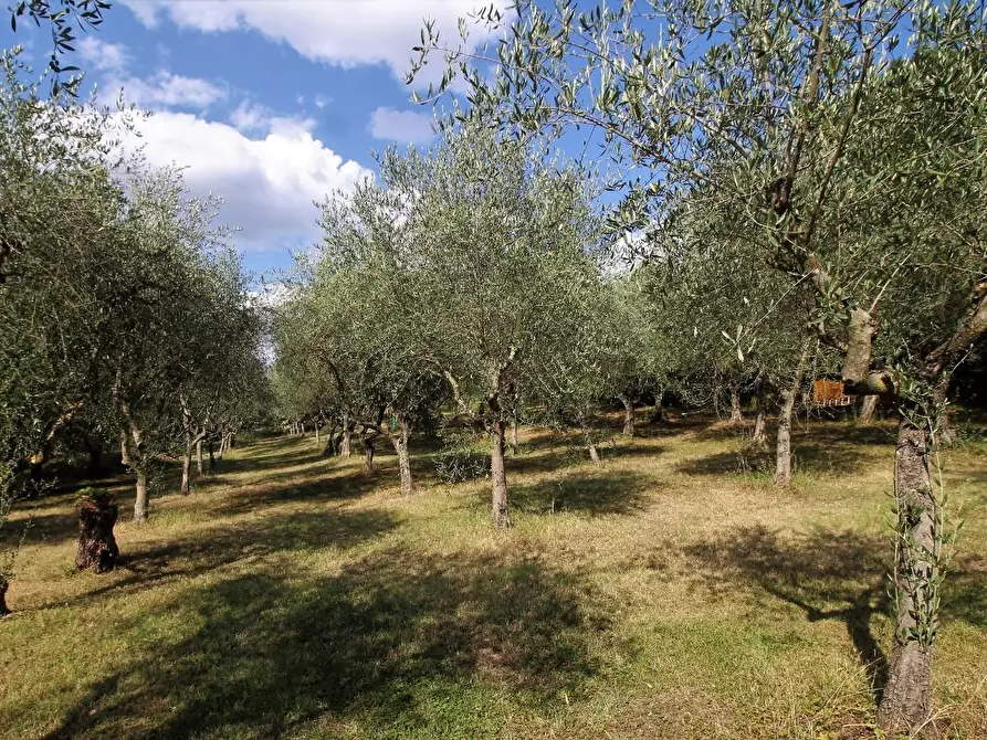 Immagine 20 di Porzione di casa in vendita  a Siena