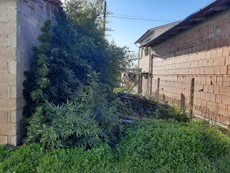 Immagine 5 di Terratetto in vendita  a Cerreto Guidi