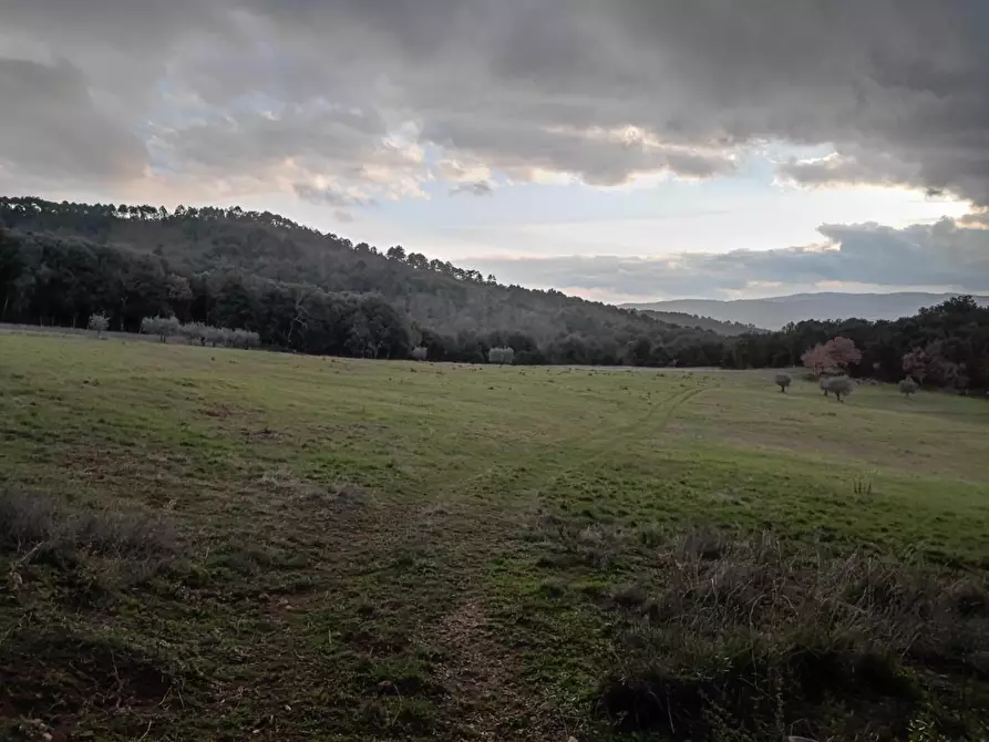 Immagine 1 di Casa colonica in vendita  a Casole D'elsa