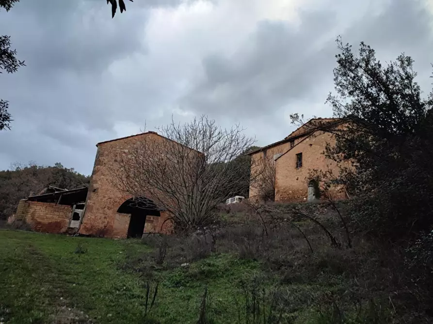 Immagine 2 di Casa colonica in vendita  a Casole D'elsa