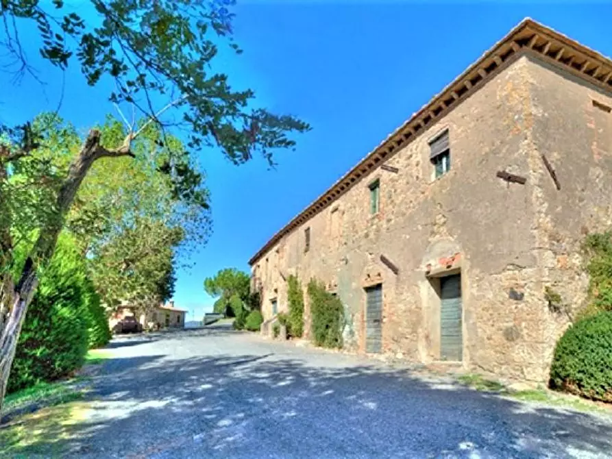 Immagine 9 di Azienda agricola in vendita  a Volterra