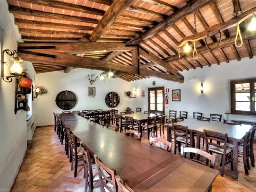 Immagine 23 di Azienda agricola in vendita  a Volterra