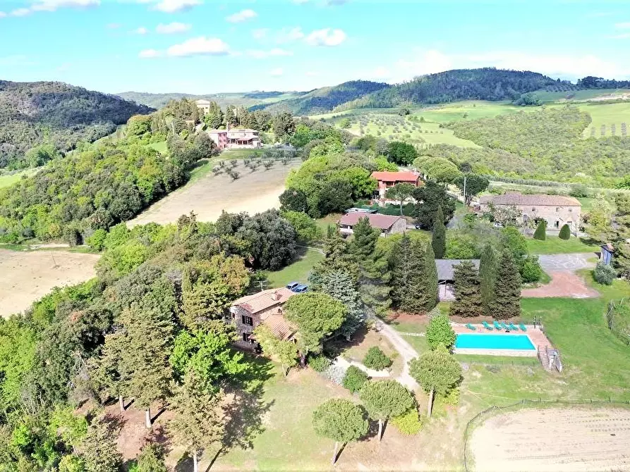 Immagine 2 di Azienda agricola in vendita  a Volterra