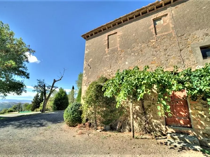 Immagine 11 di Azienda agricola in vendita  a Volterra