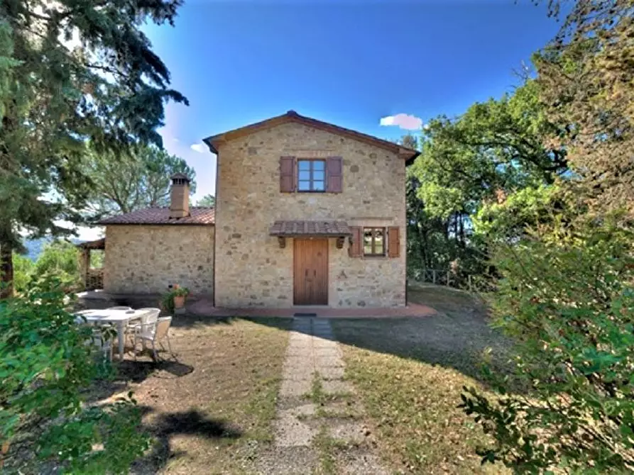 Immagine 8 di Azienda agricola in vendita  a Volterra