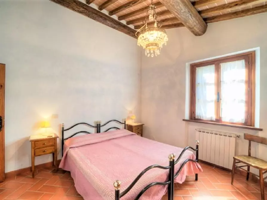 Immagine 4 di Azienda agricola in vendita  a Volterra