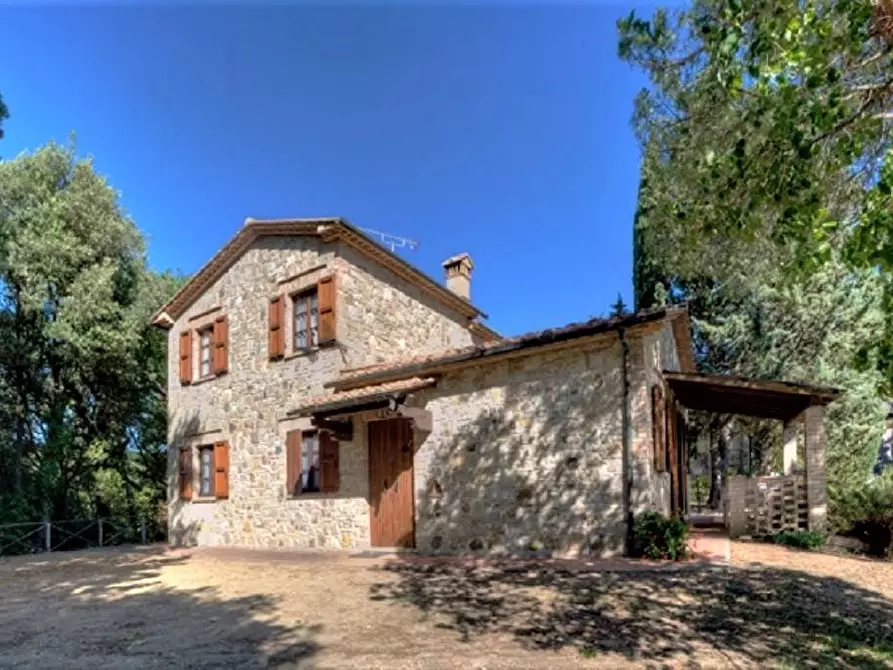 Immagine 5 di Azienda agricola in vendita  a Volterra