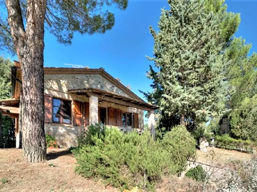 Immagine 7 di Azienda agricola in vendita  a Volterra