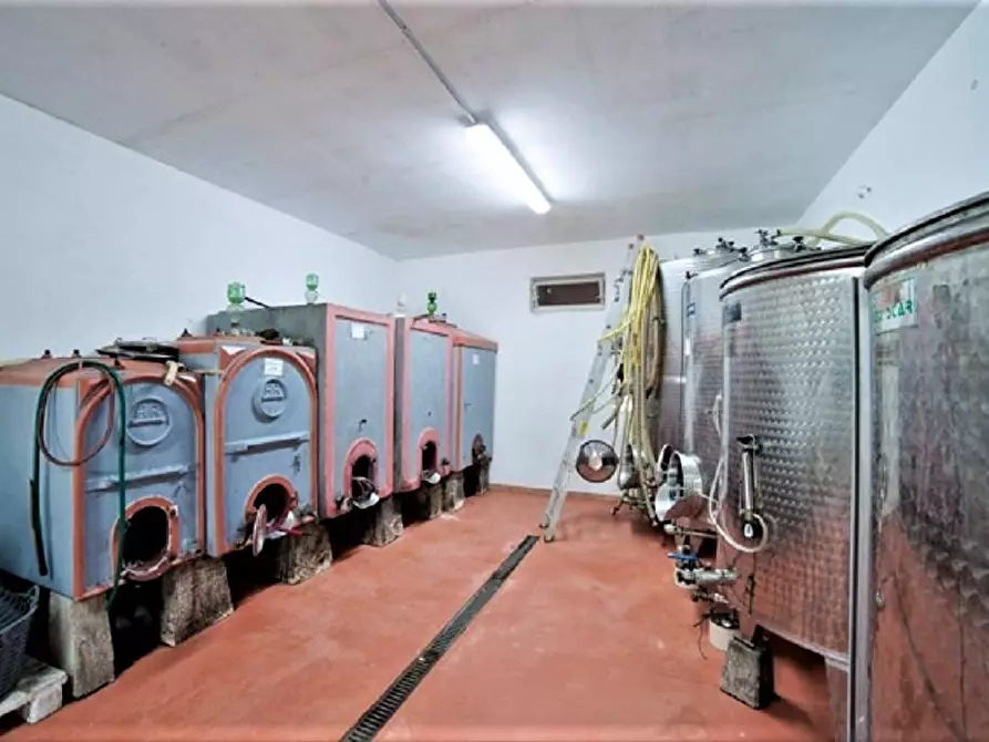 Immagine 16 di Azienda agricola in vendita  a Volterra