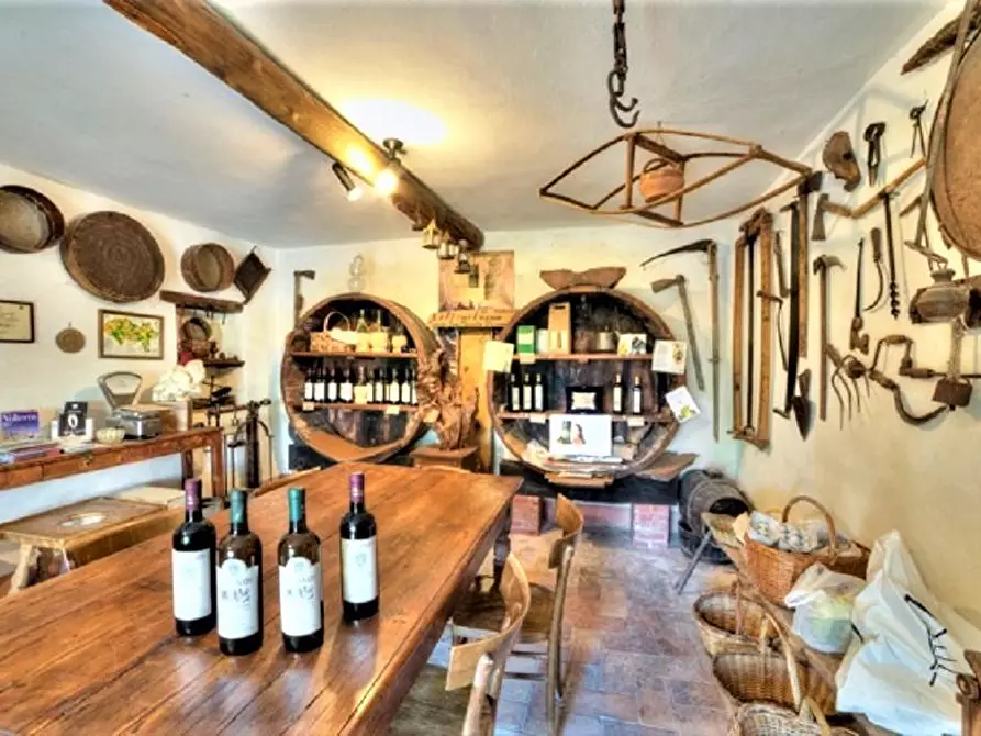 Immagine 26 di Azienda agricola in vendita  a Volterra