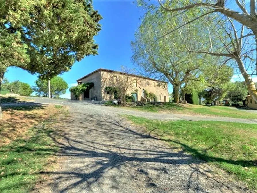 Immagine 12 di Azienda agricola in vendita  a Volterra