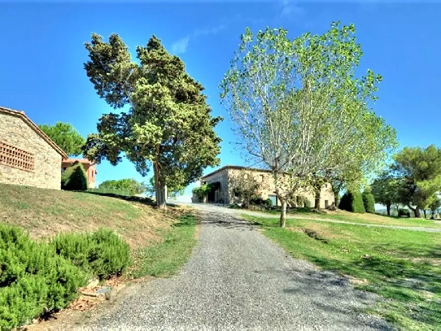 Immagine 25 di Azienda agricola in vendita  a Volterra