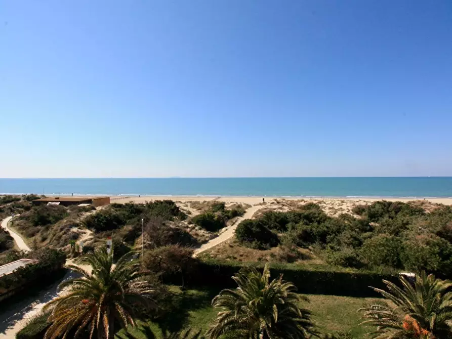 Immagine 21 di Appartamento in affitto  a Pisa