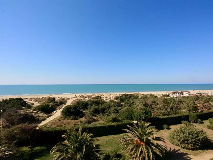 Immagine 22 di Appartamento in affitto  a Pisa